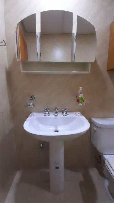 Departamento Centrico Apartment